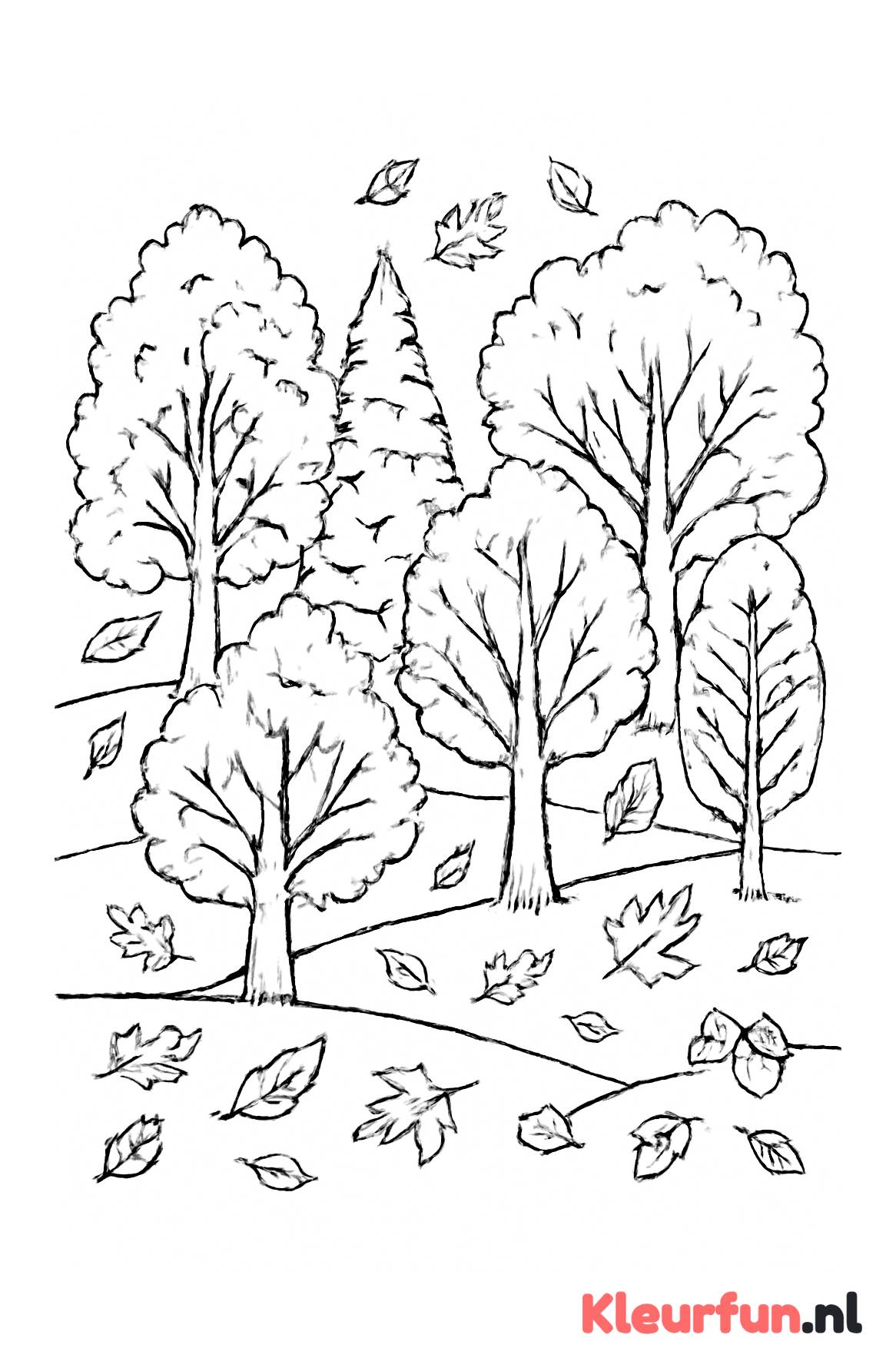 Herfstbomen op Glooiend Landschap