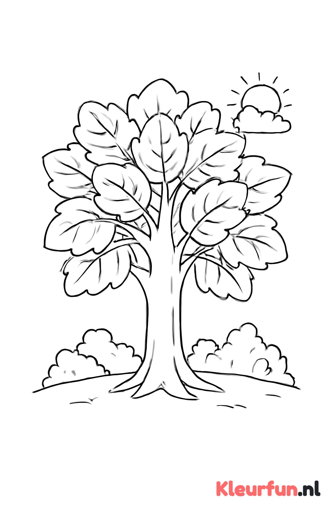 Herfstboom met struiken