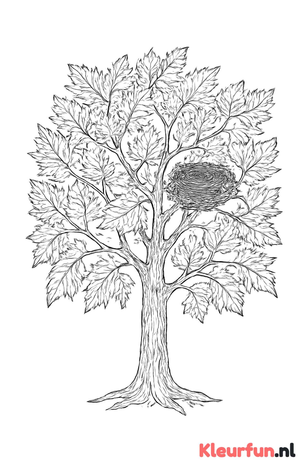Herfstboom met vogelnest en gedetailleerde bladeren