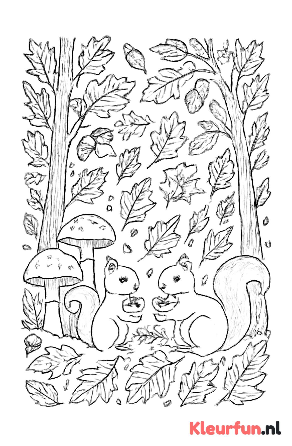 Herfstbos met Eekhoorns en Paddenstoelen
