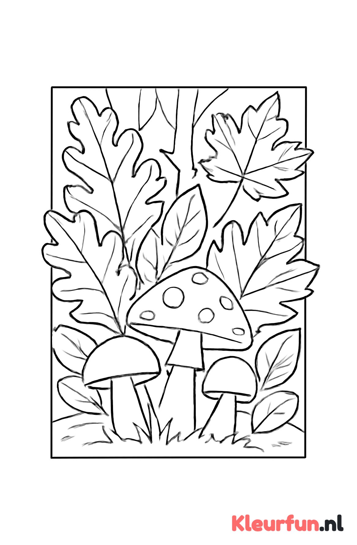 Herfstbos met grote bladeren en paddenstoelen