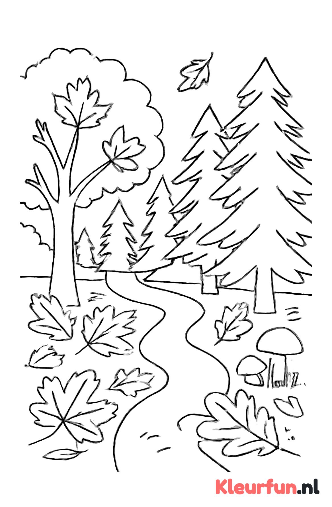 Herfstbos met vallende bladeren