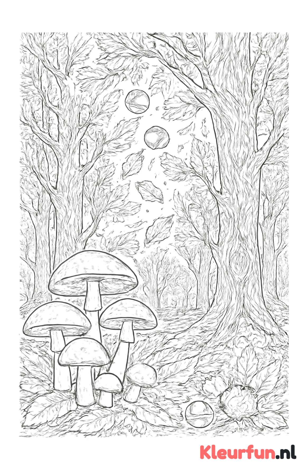 Herfstbos vol details