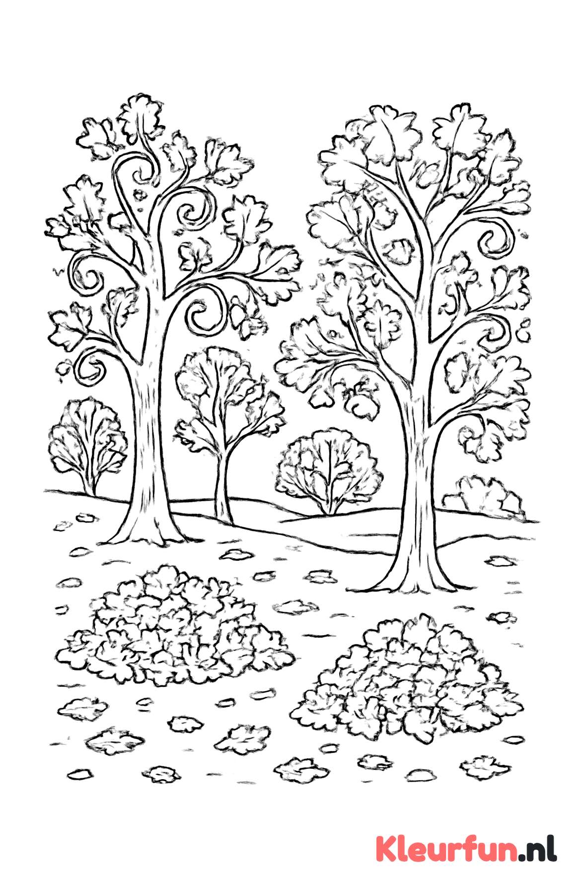 Herfstlandschap met Meerdere Bomen