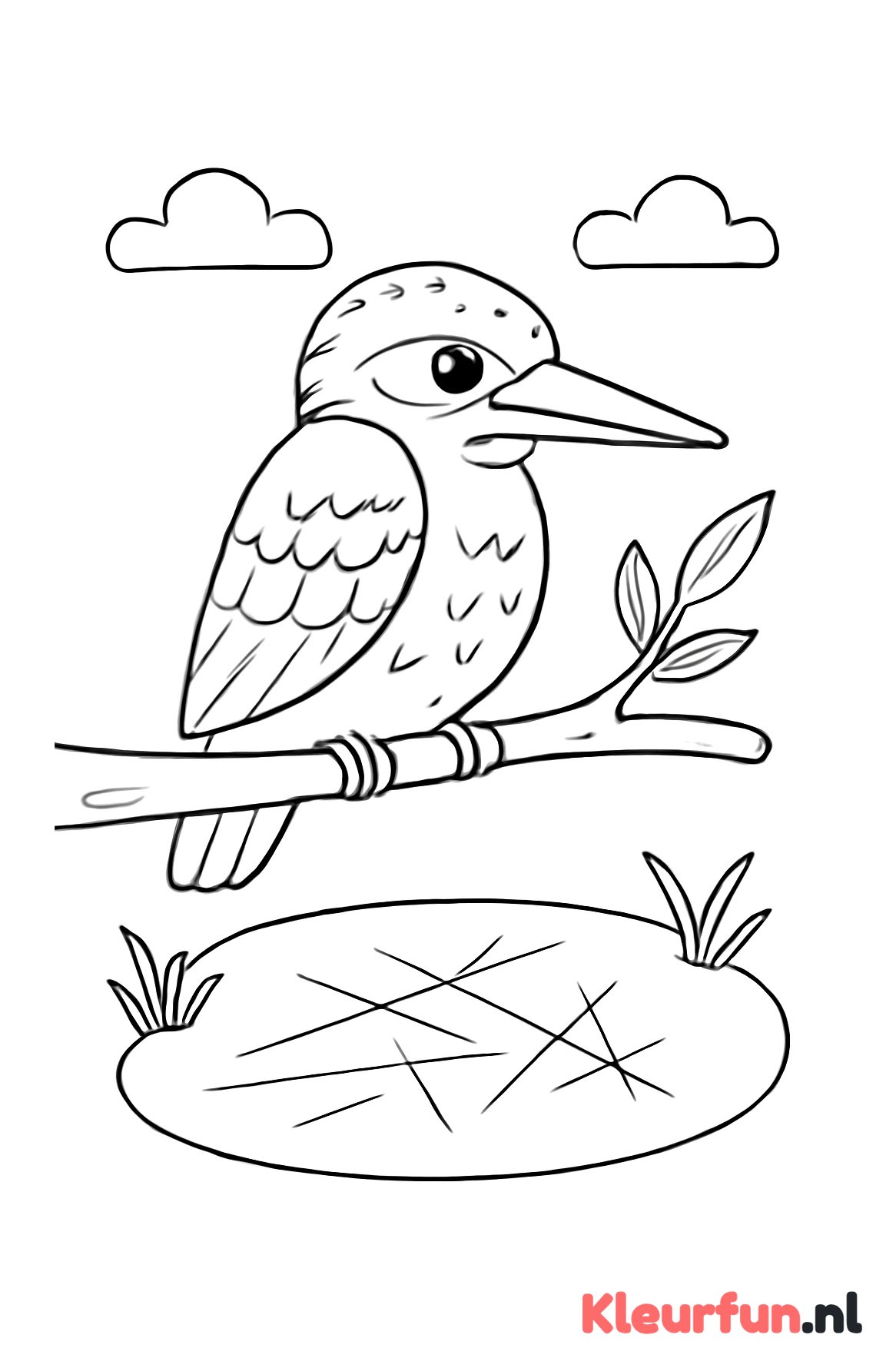 IJsvogel boven bevroren vijver