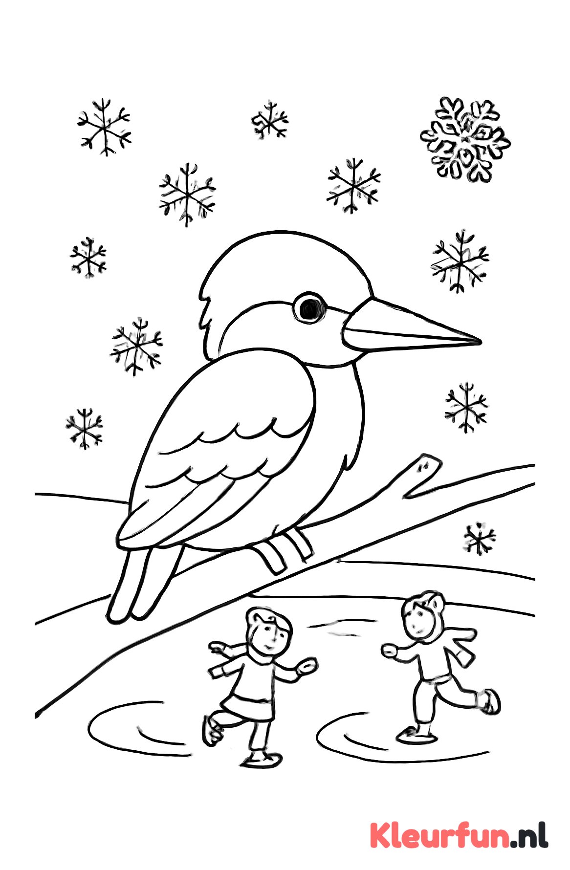 IJsvogel en bevroren vijver