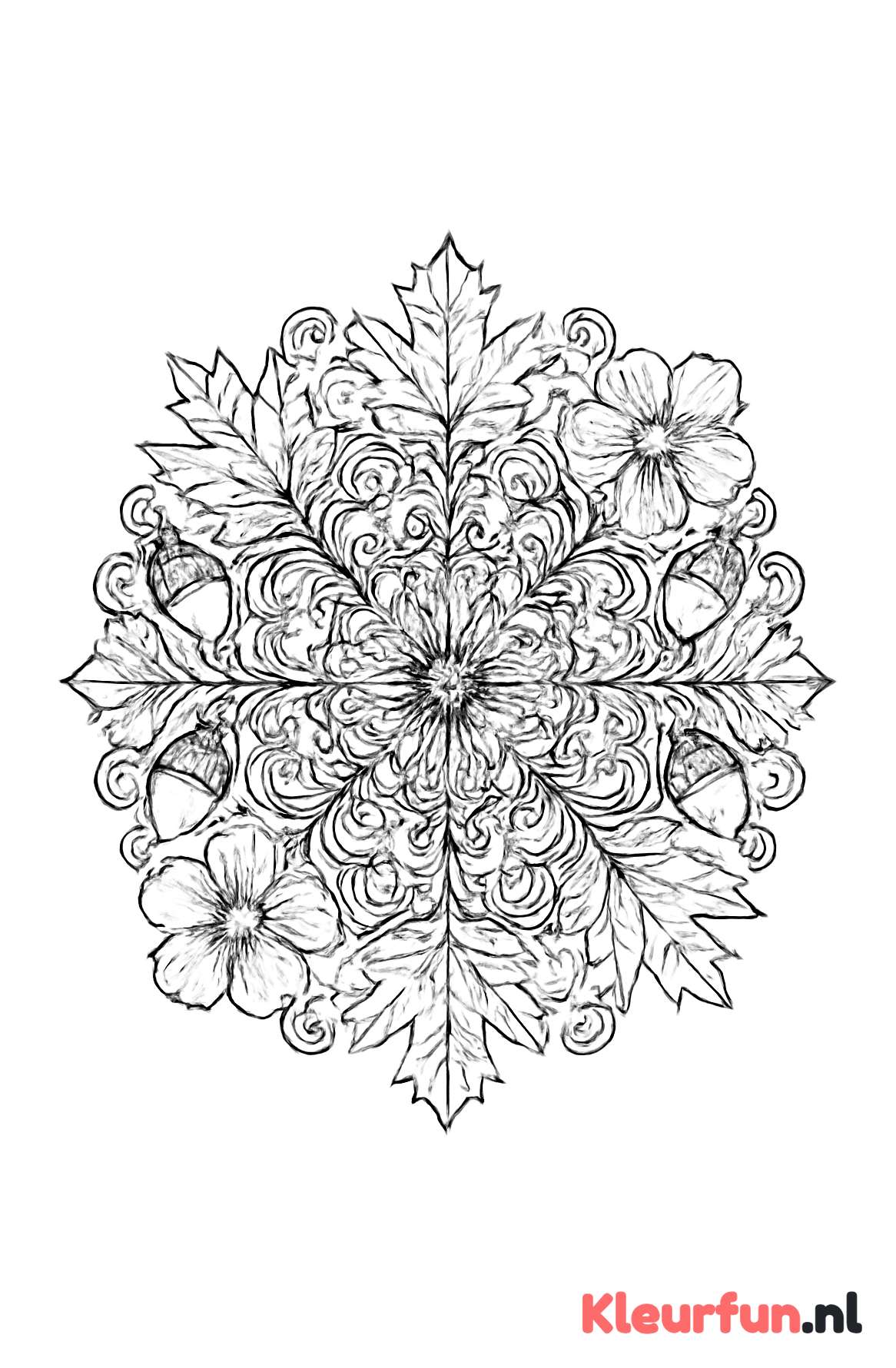 Gedetailleerde herfst mandala met bloemen en bladeren