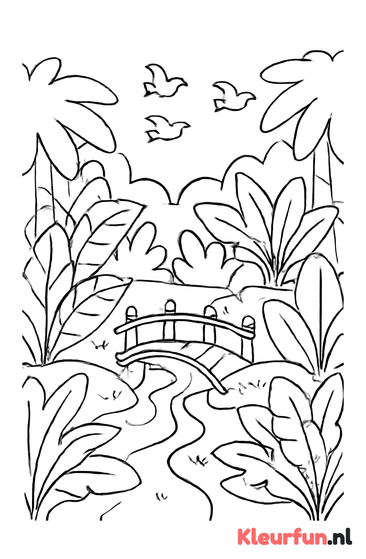 Jungle met beekje en brug