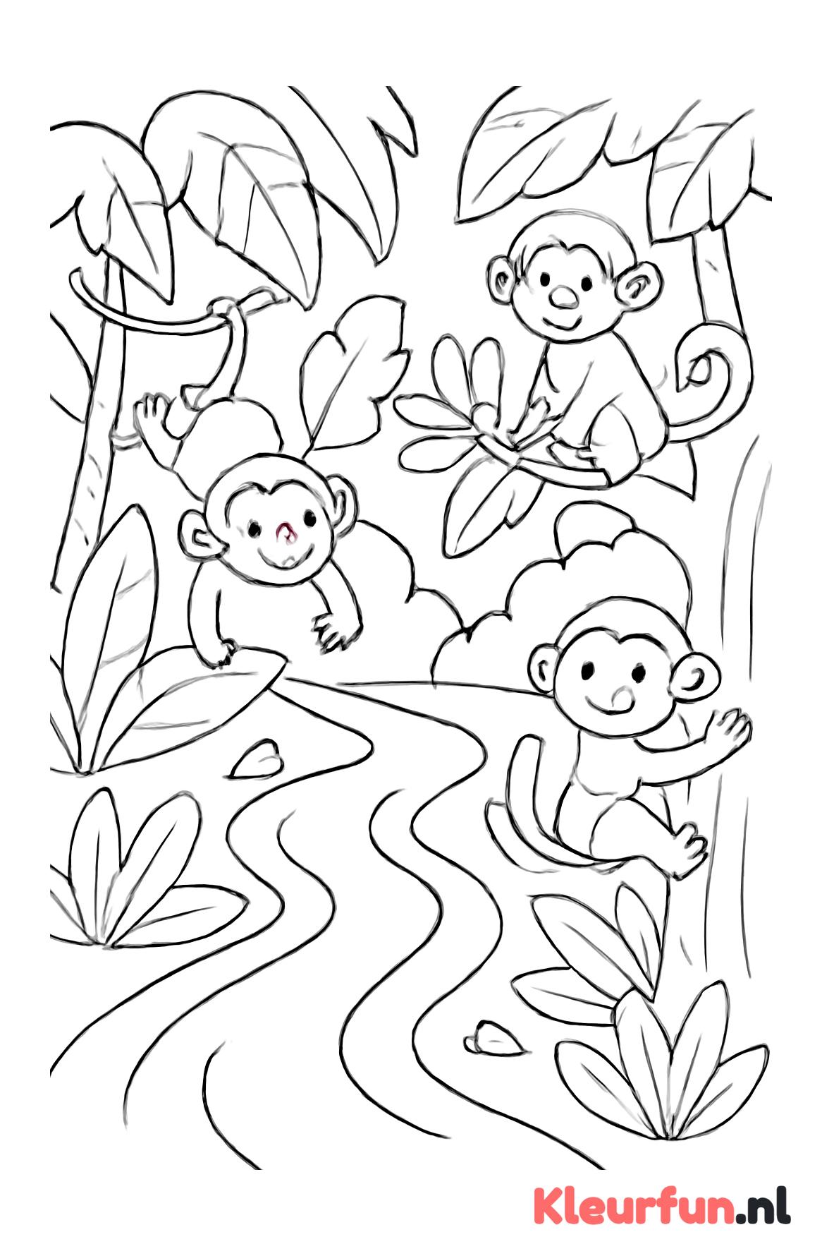 Jungle met bomen en apen