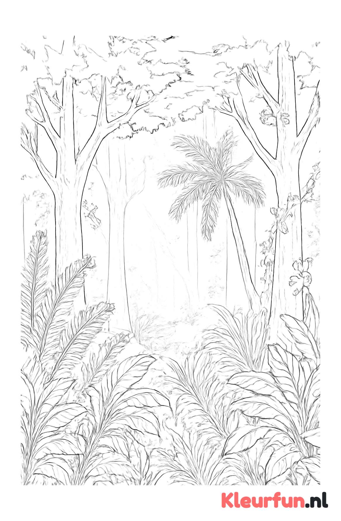 Jungle in de mist