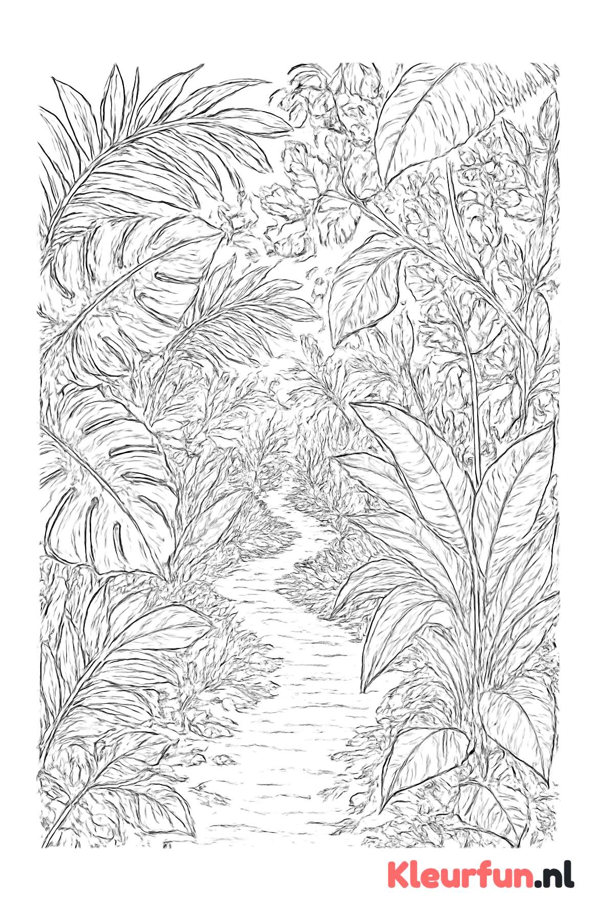 Jungle pad met tropische bladeren