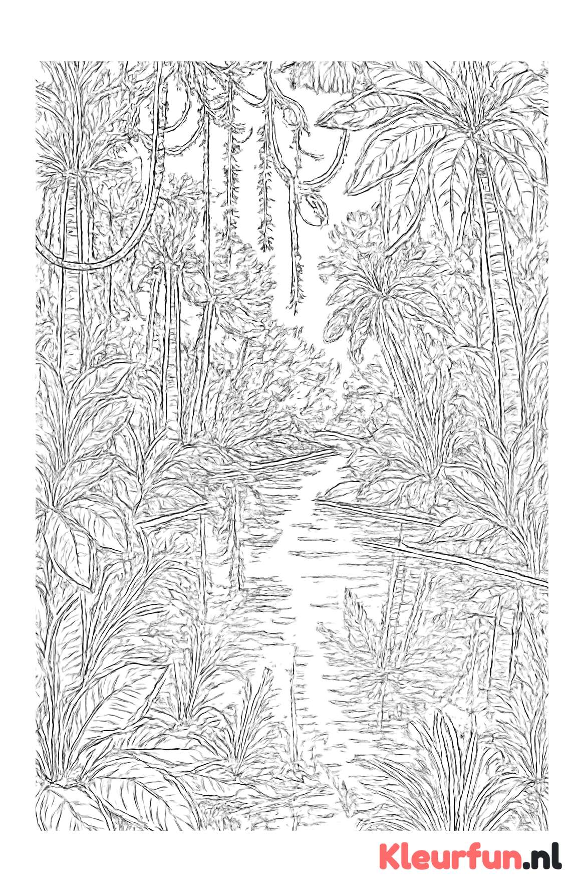 Jungle rivier en oever
