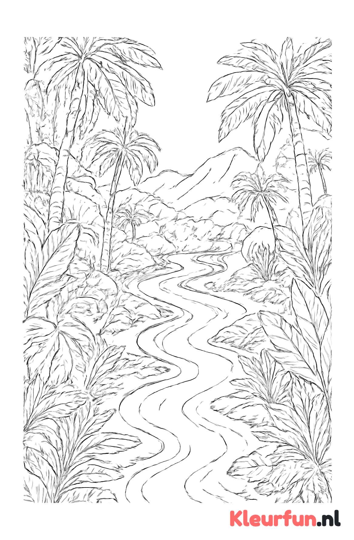 Junglevallei met rivier