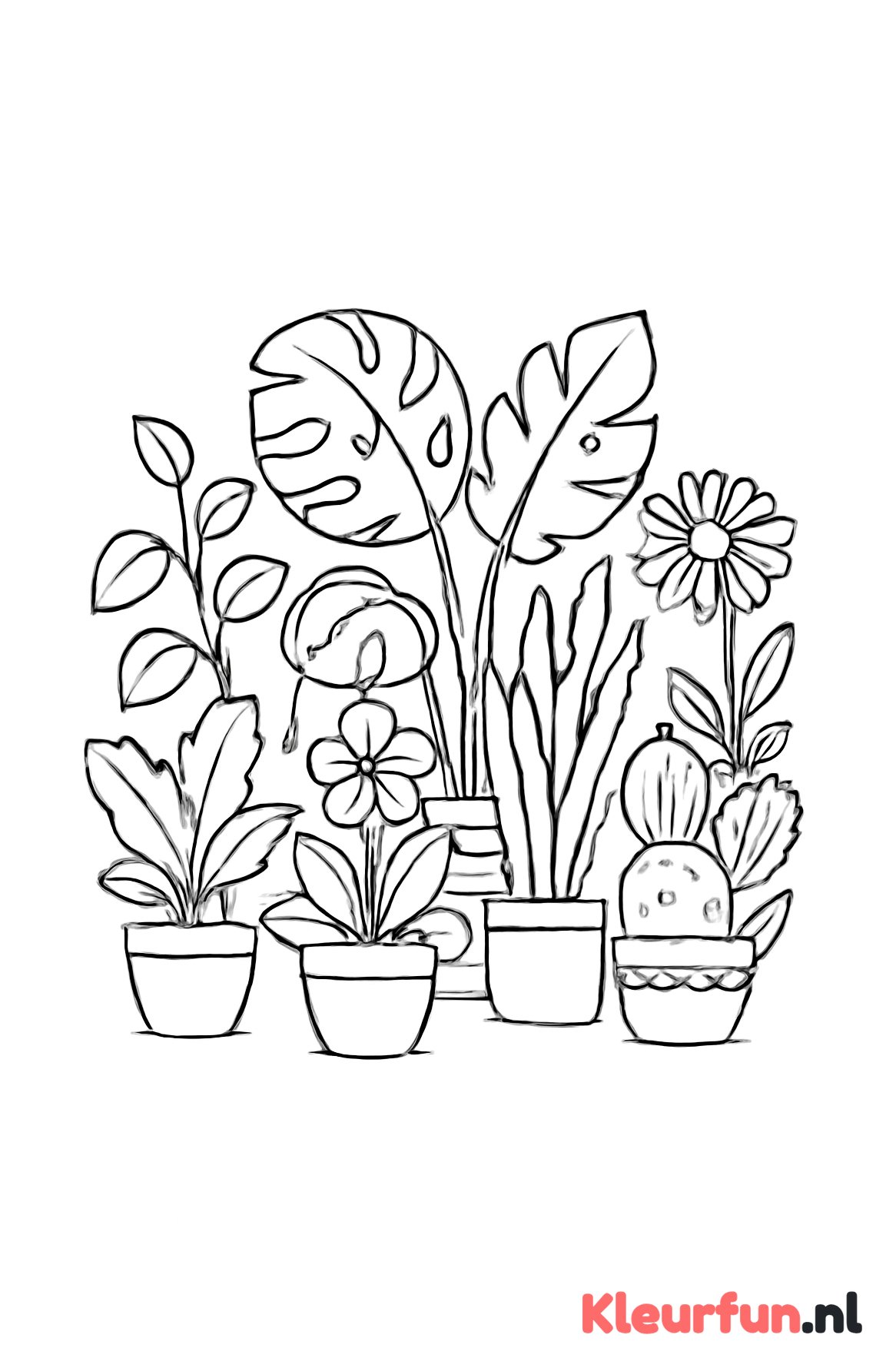 Kamerplanten en bloempotten kleurplaat