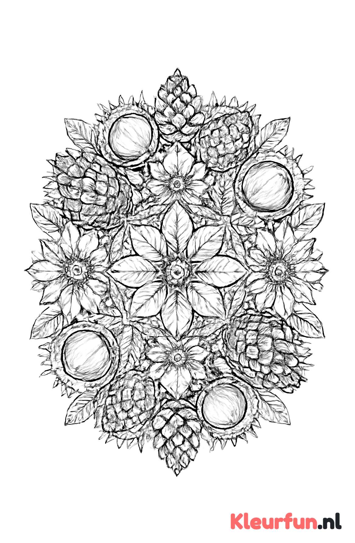 Herfst mandala met kastanjes en dennenappels