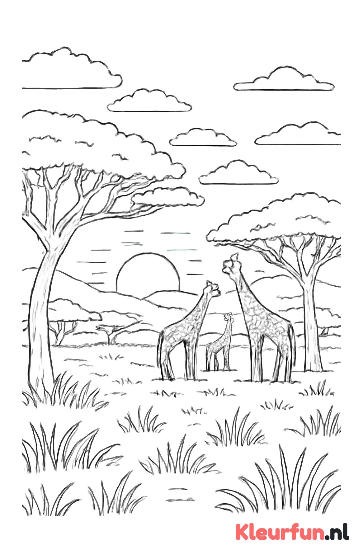 Savannelandschap in Kenia