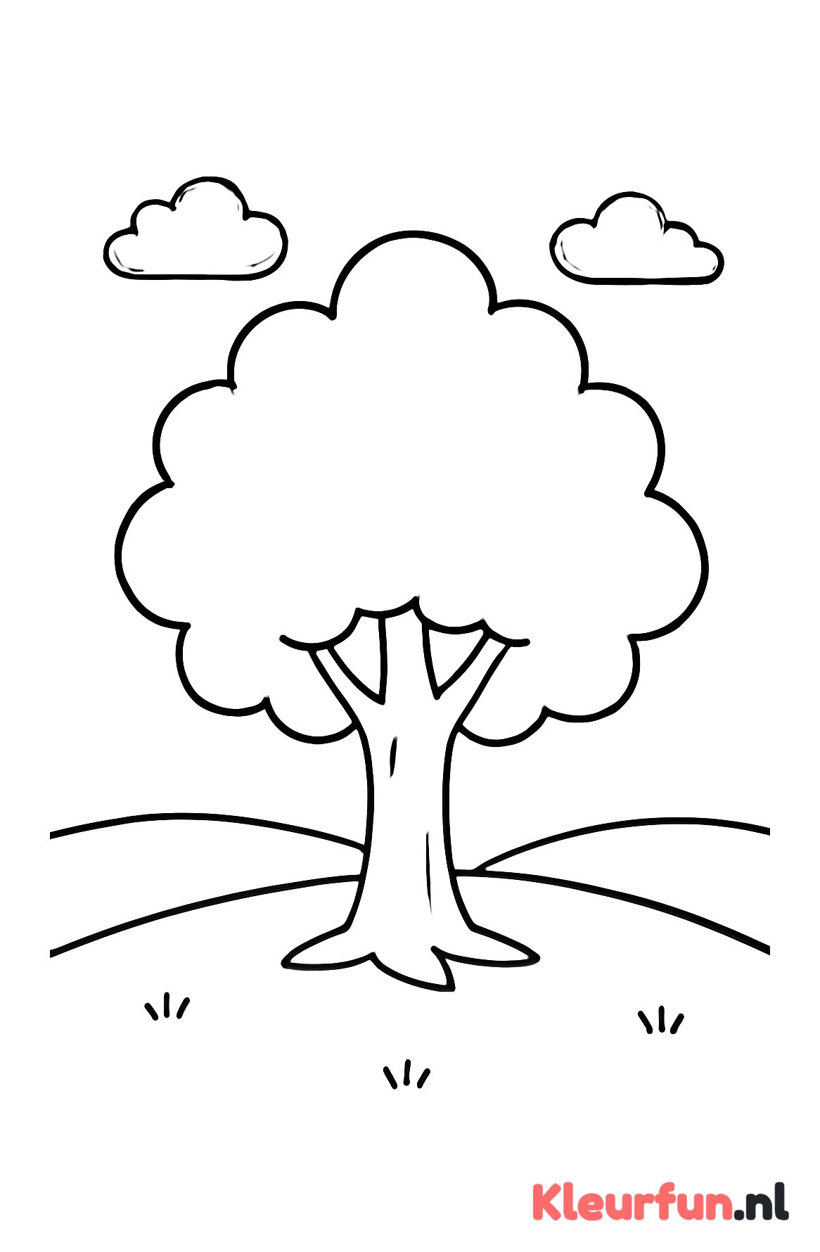 Kleine boom in open veld