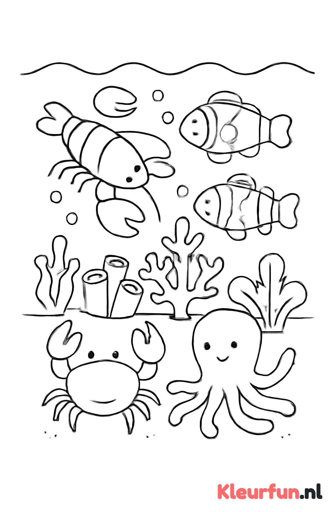 Zeedieren rond het kleurrijke koraal