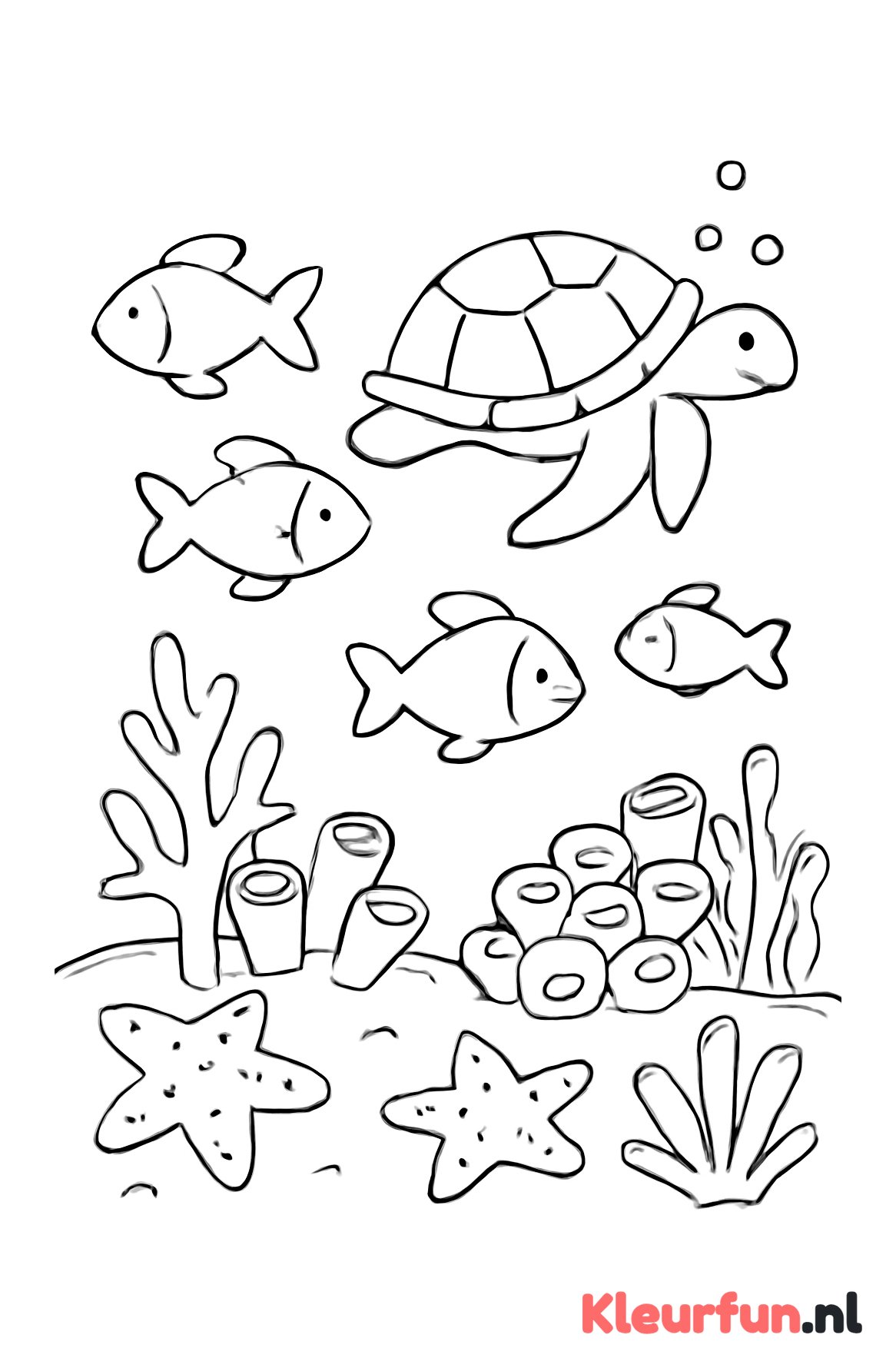Vissen en zeedieren in het koraalrif