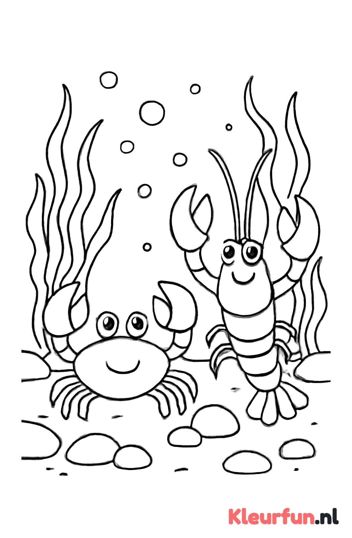 Krab en kreeft in de onderwaterkelder