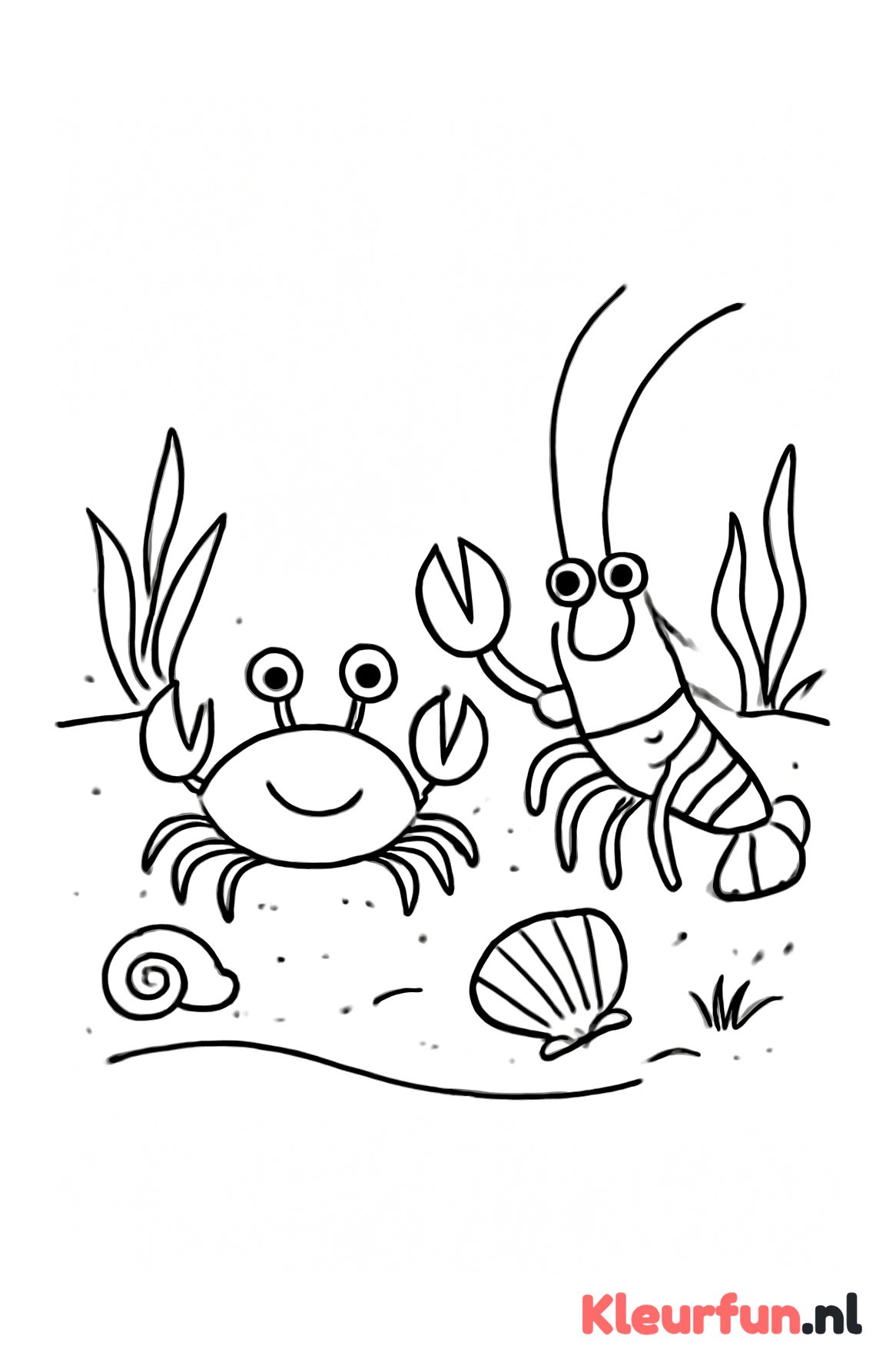 Krab en kreeft op het strand