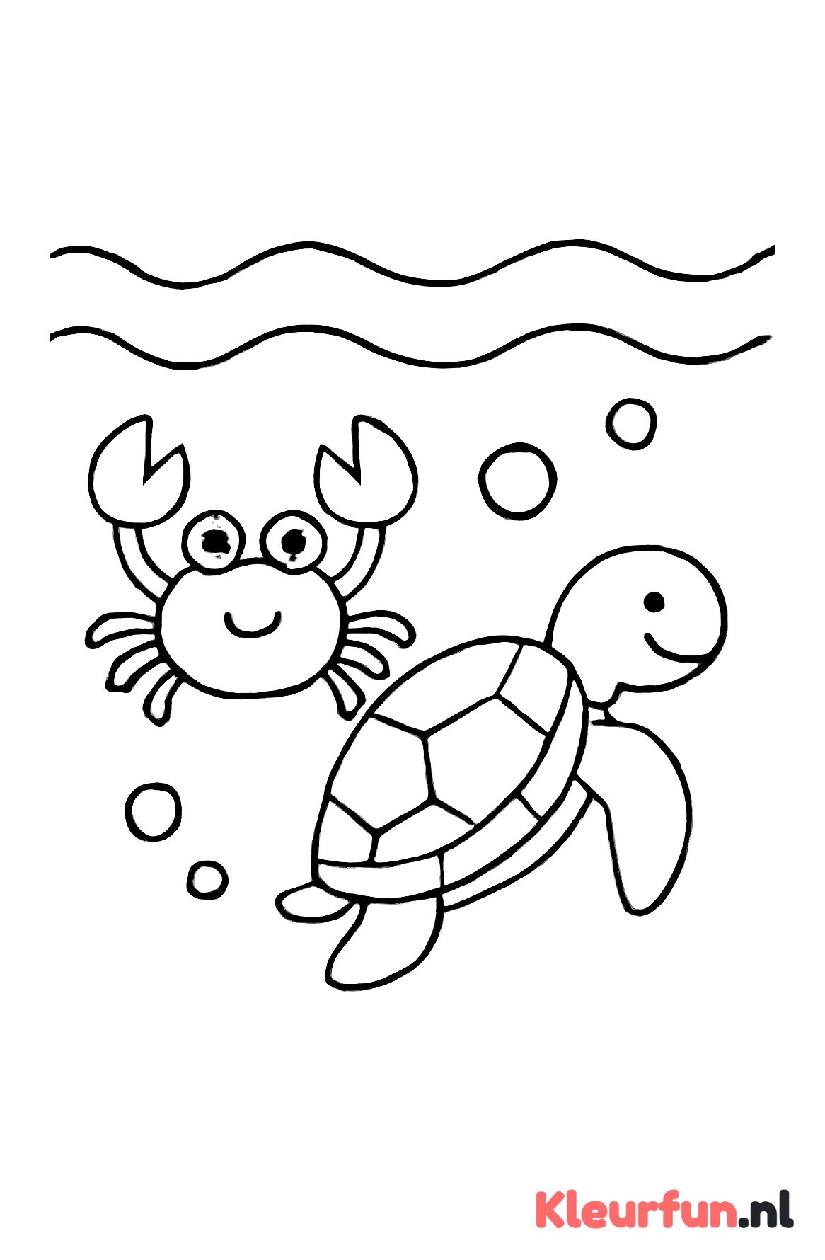 Krab en schildpad in de oceaan