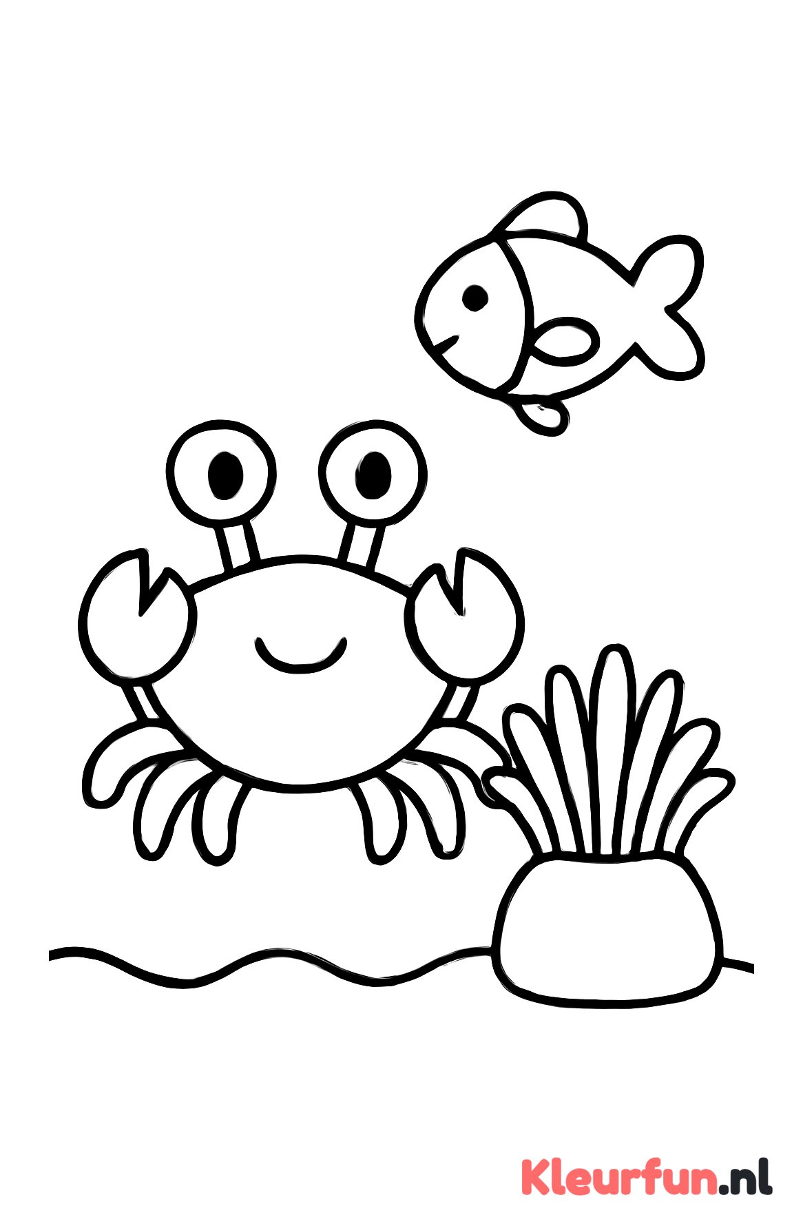 Krab, vis en zeeanemoon
