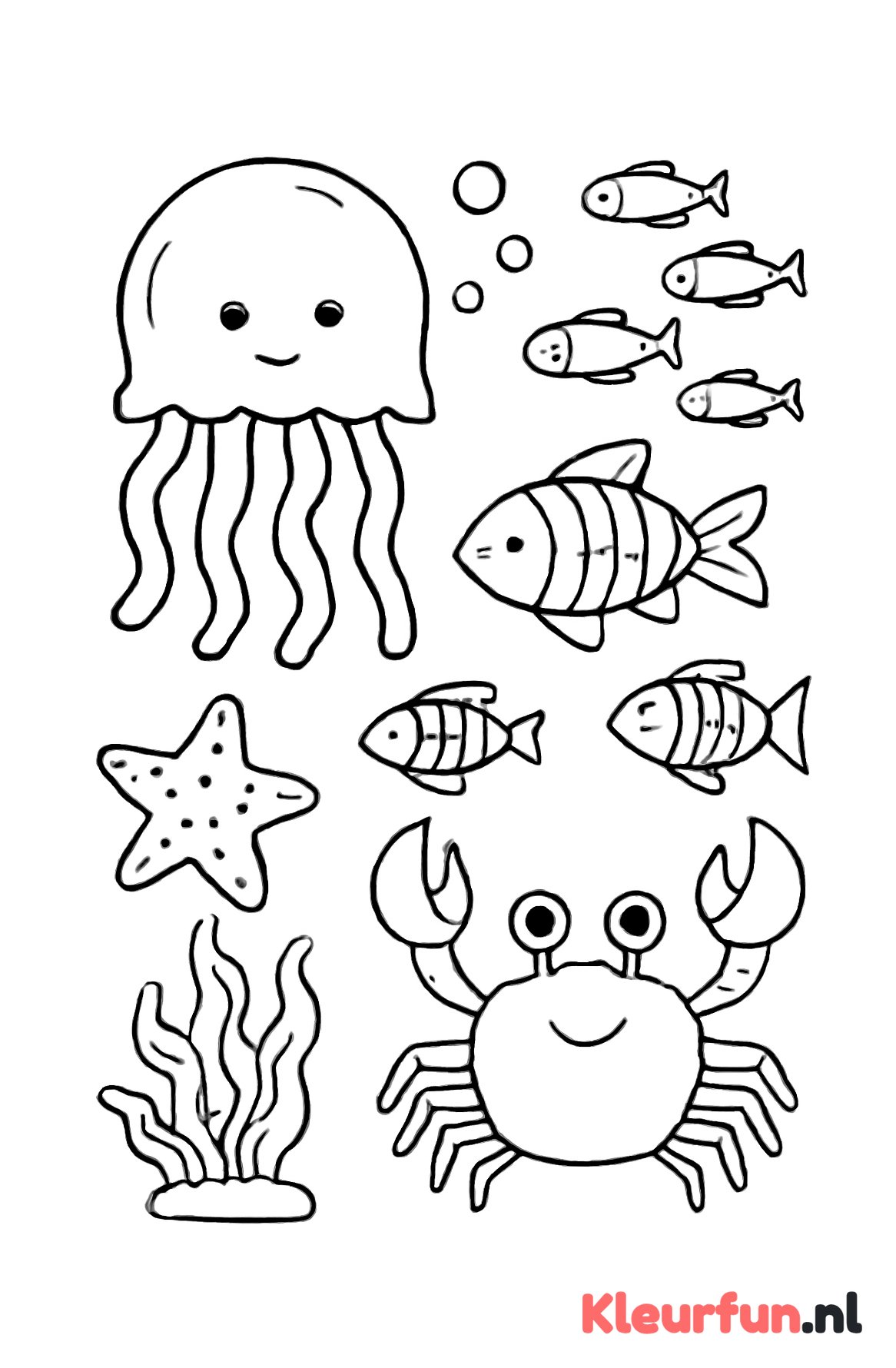 Kwal, krab en vissen onder water