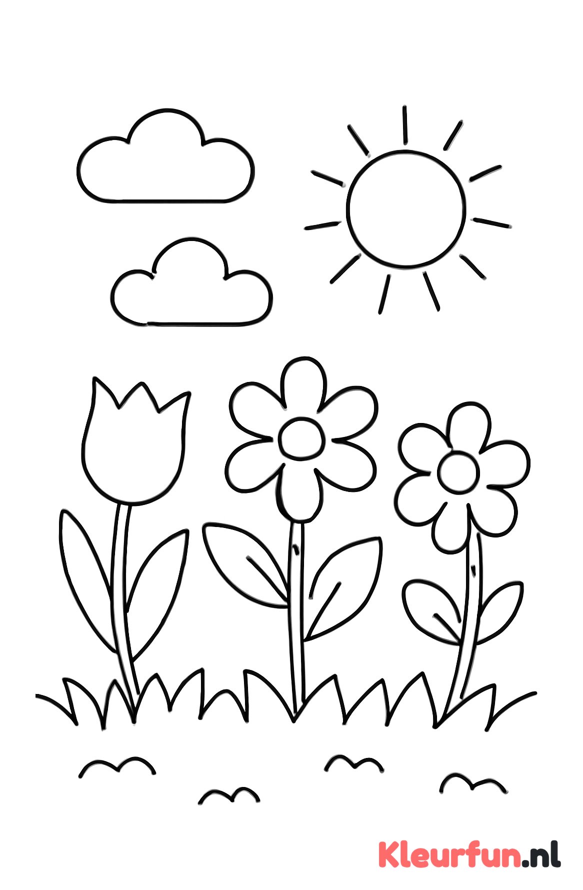 Bloeiende lentebloemen in grasveld