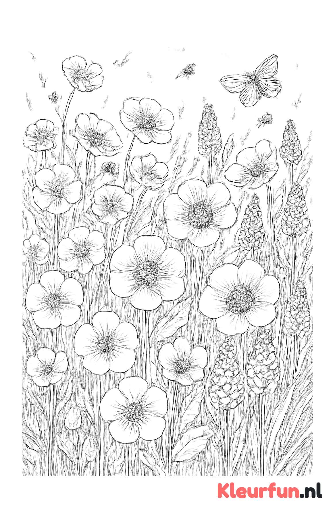 Lente bloemen veld met ingewikkelde bloemenpracht