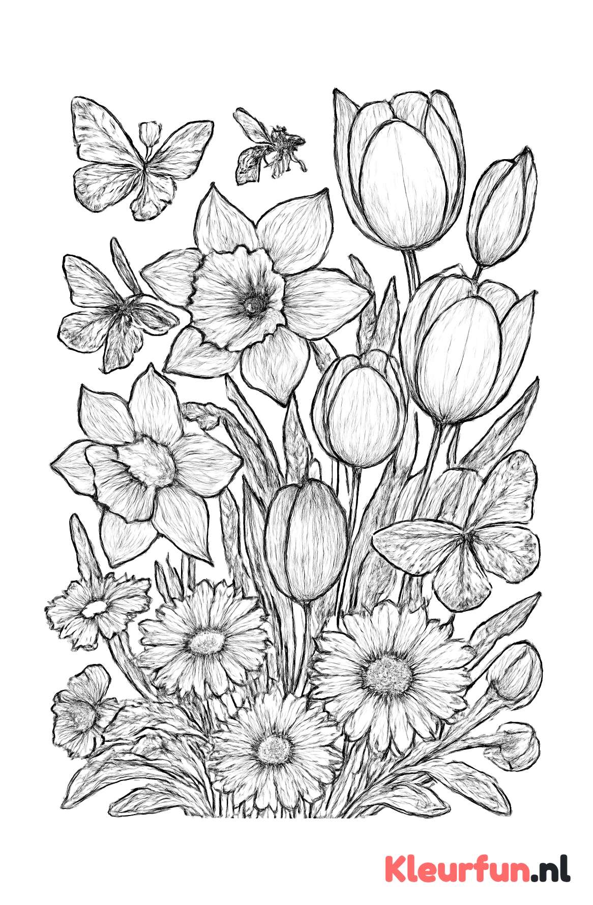 Gedetailleerde lente bloemen met vlinders en bijen