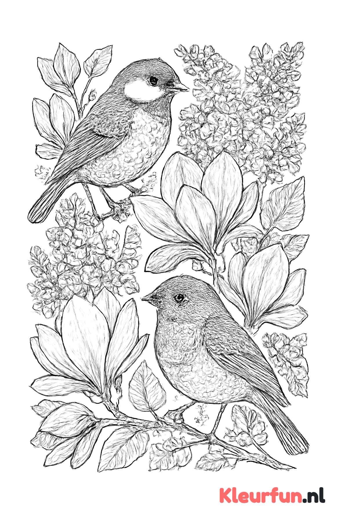 Lente bloemen en vogelmotieven met ingewikkelde details
