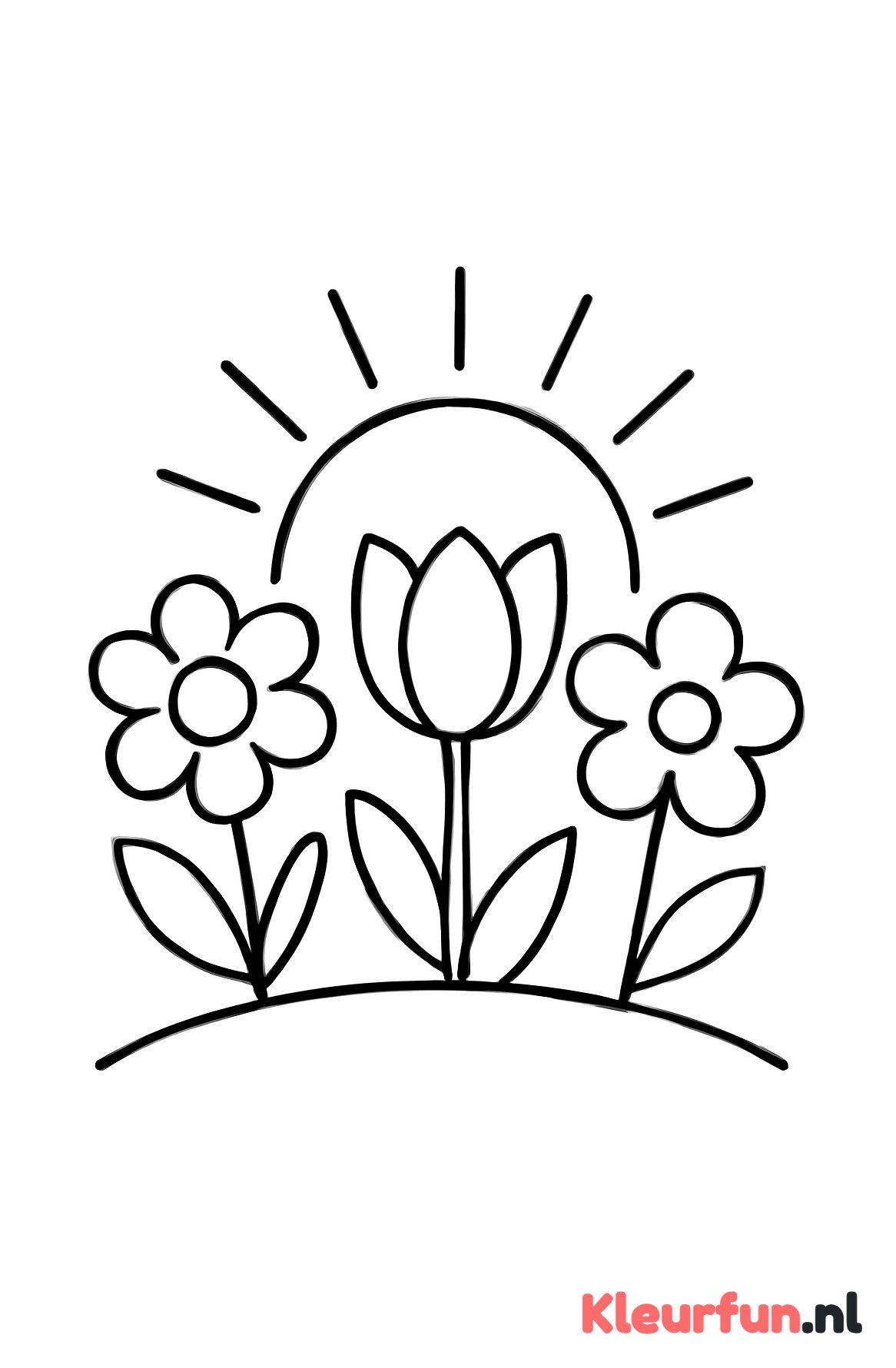 Lente bloemen en zon