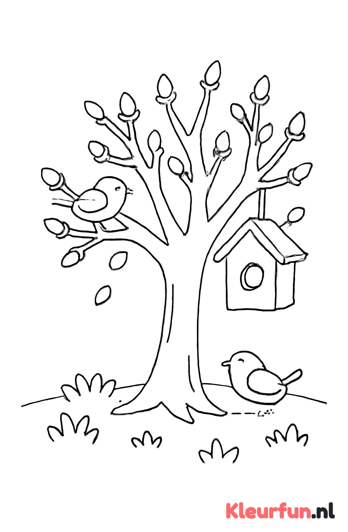 Lente boom en vogeltjes