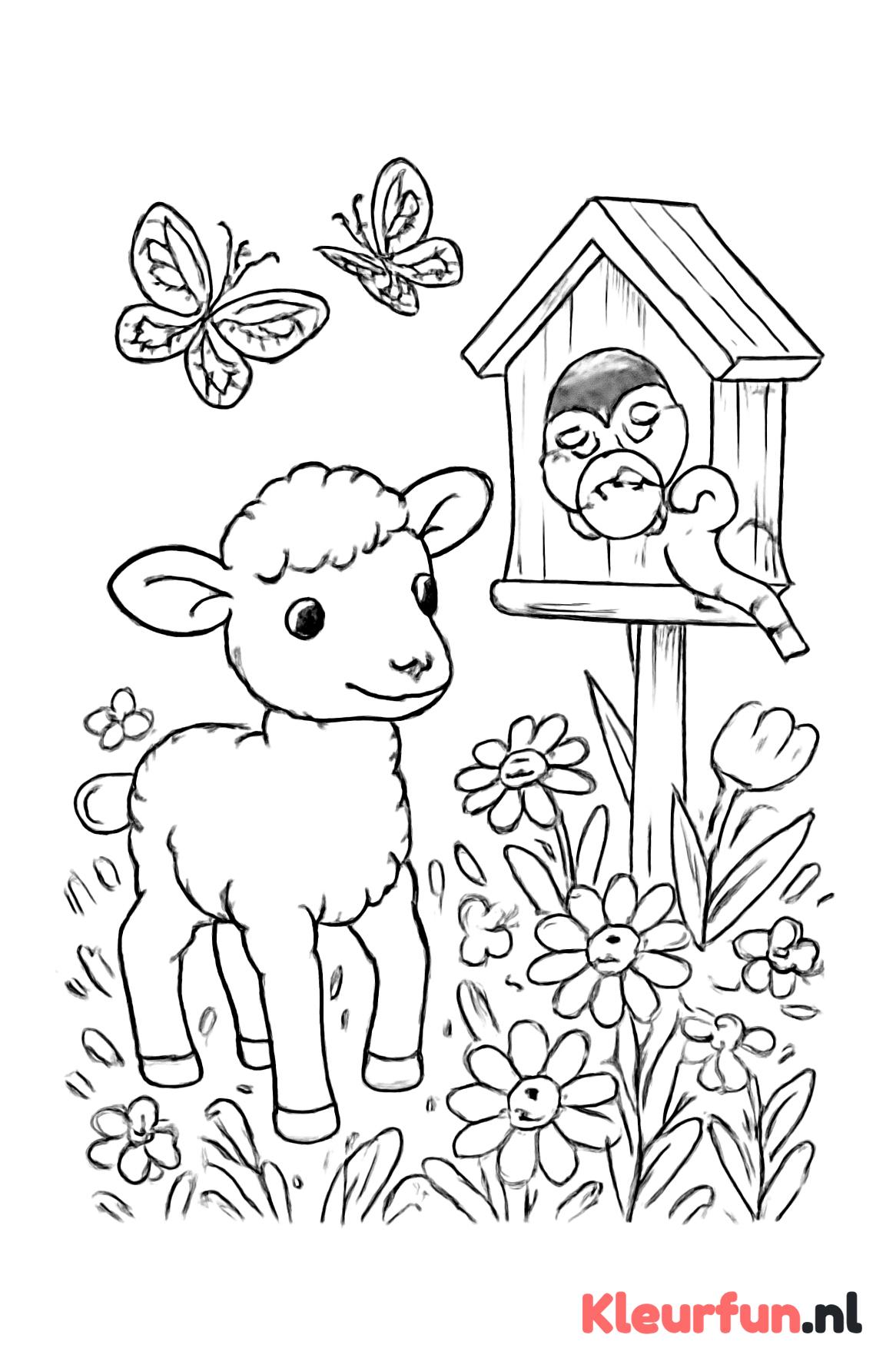 Lente dieren: lammetje, meesjes en vlinders