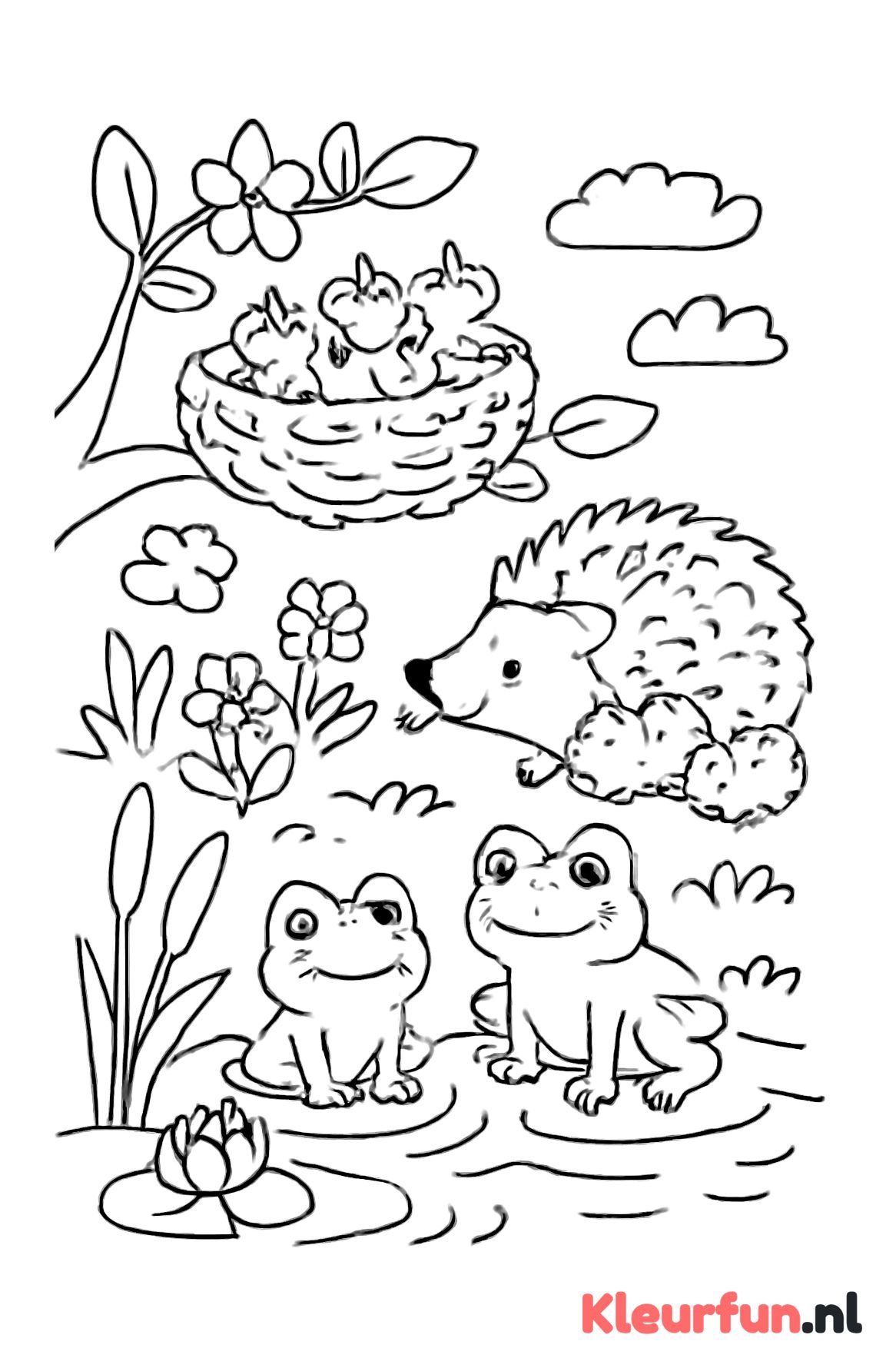 Lente dieren: vogelnestje, egel en kikkers