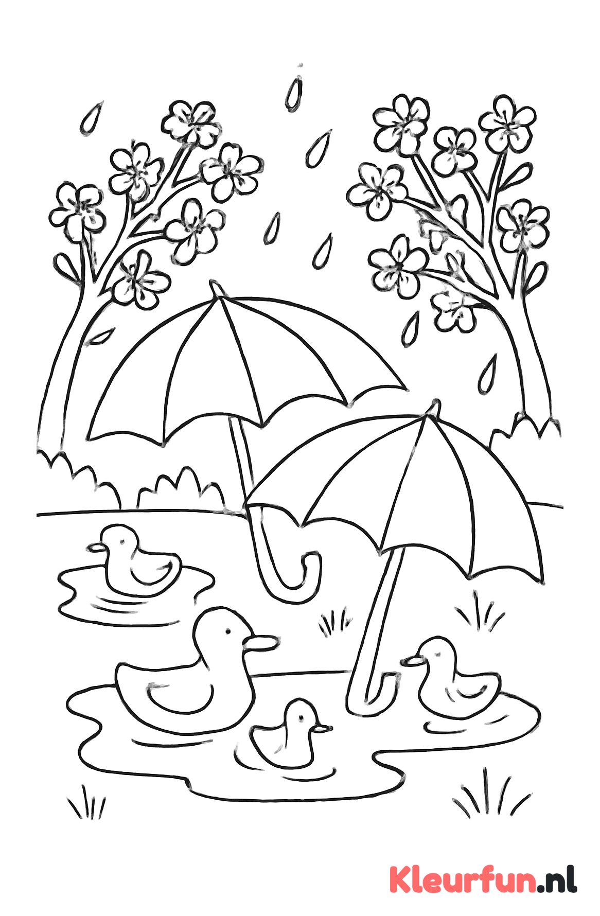 Regenachtige lentedag met eenden