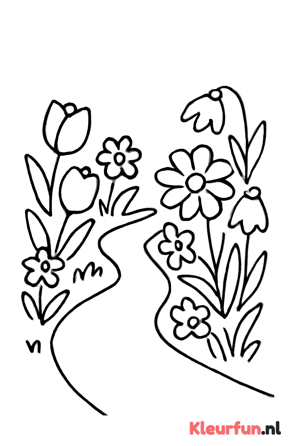 Lentebloemen Langs het Pad