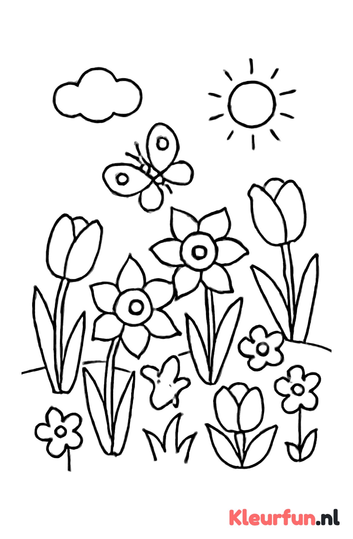 Lentebloemen tuin