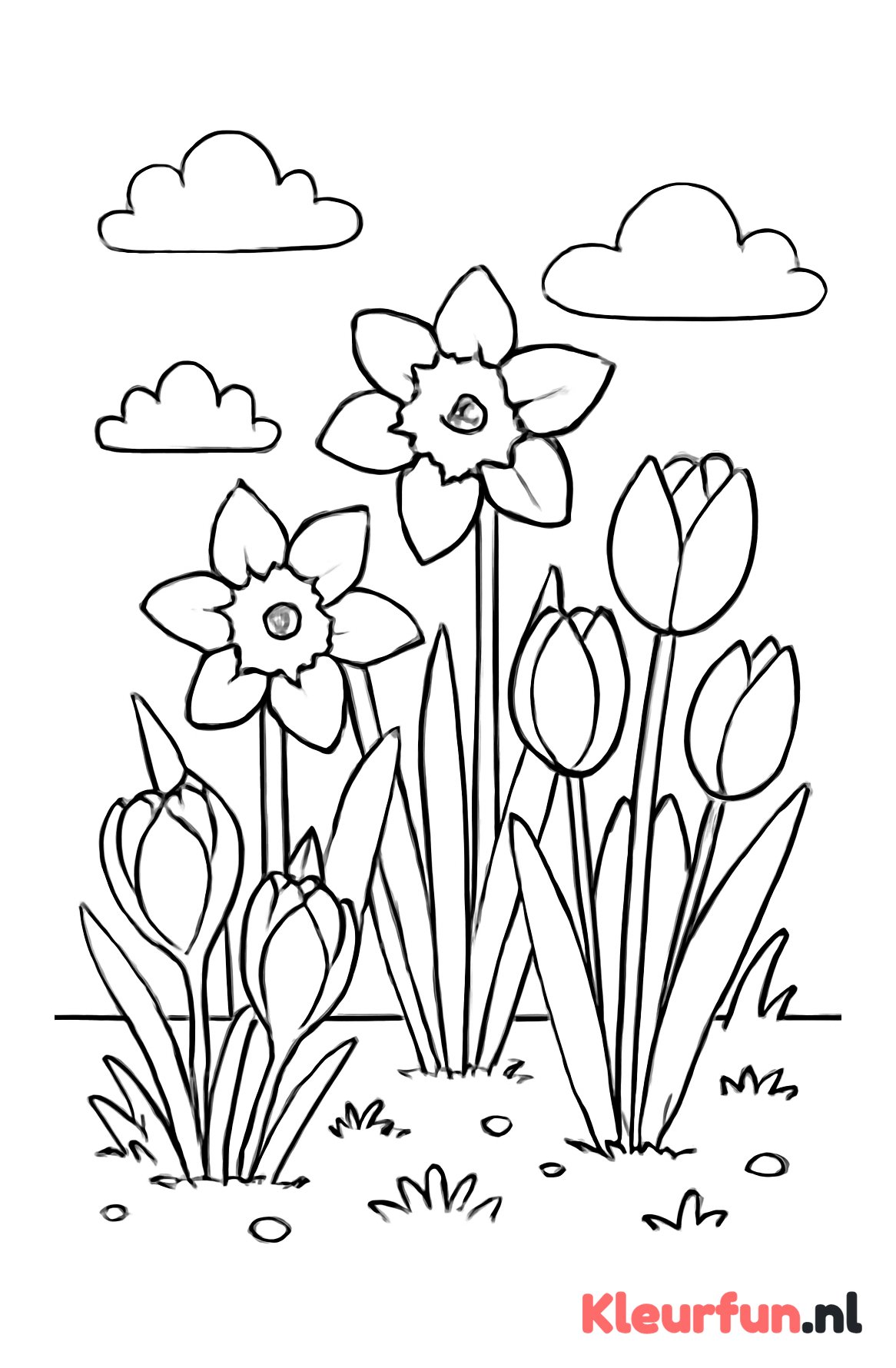 Lentebloemen in de tuin