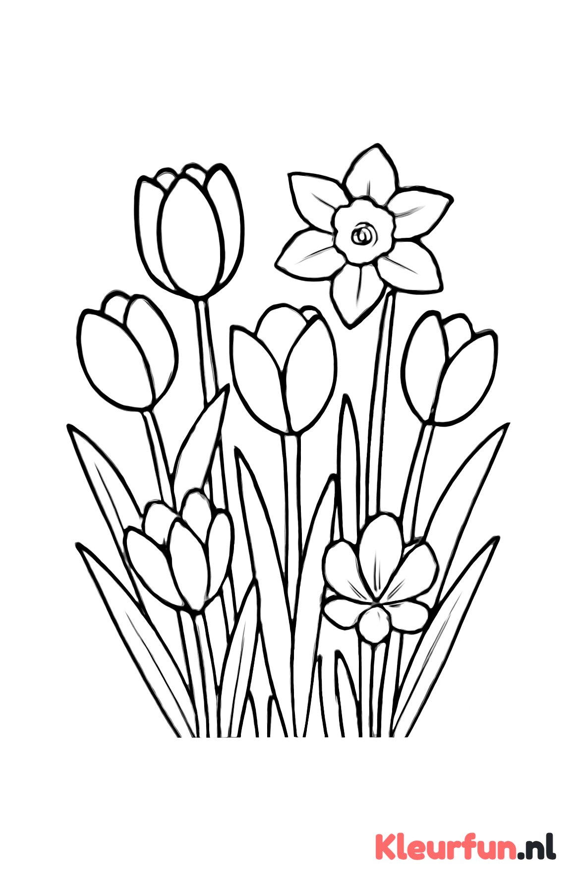 Lentebloemen met tulpen, narcissen en krokussen