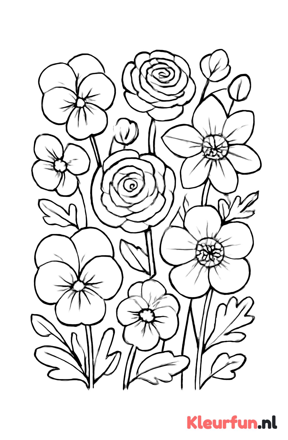 Lentebloemen met viooltjes, ranonkels en anemonen