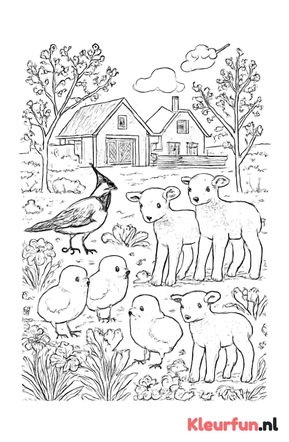 Lenteboerderij met jonge dieren