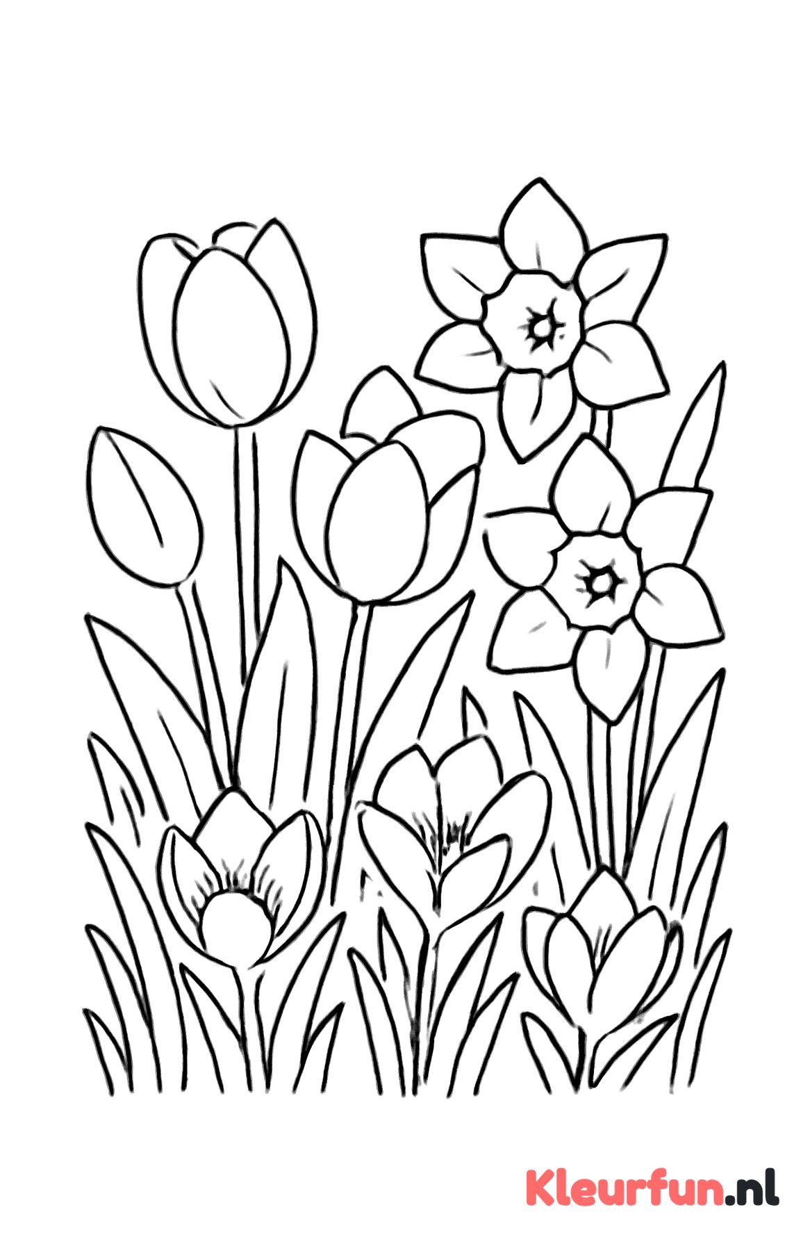 Lentetuin met diverse bloemen