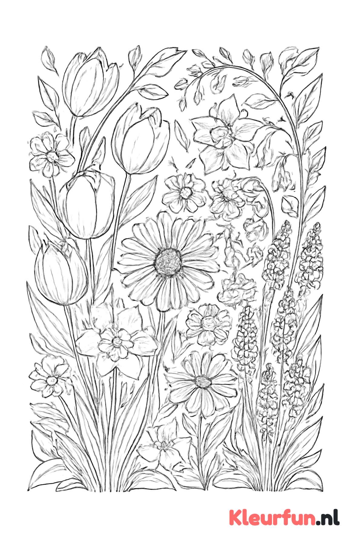 Lentetuin vol voorjaarsbloemen