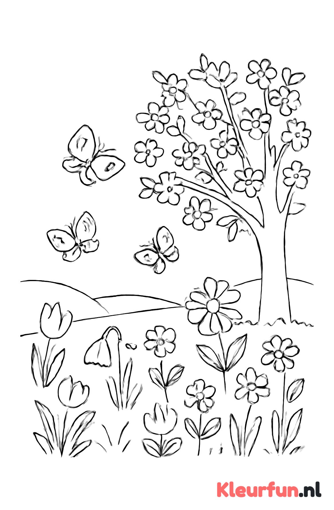 Lenteweide met bloemen en vlinders
