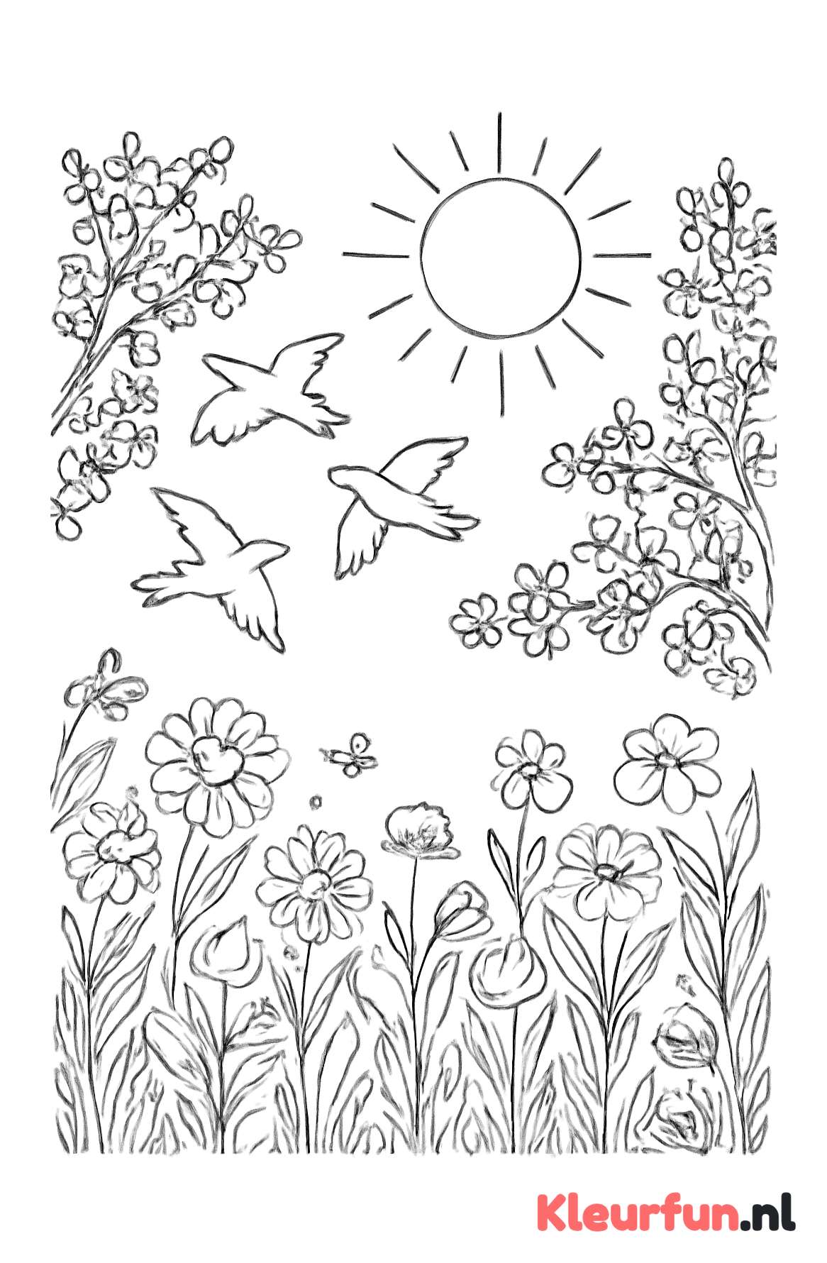 Lenteweide met bloemen en vogels