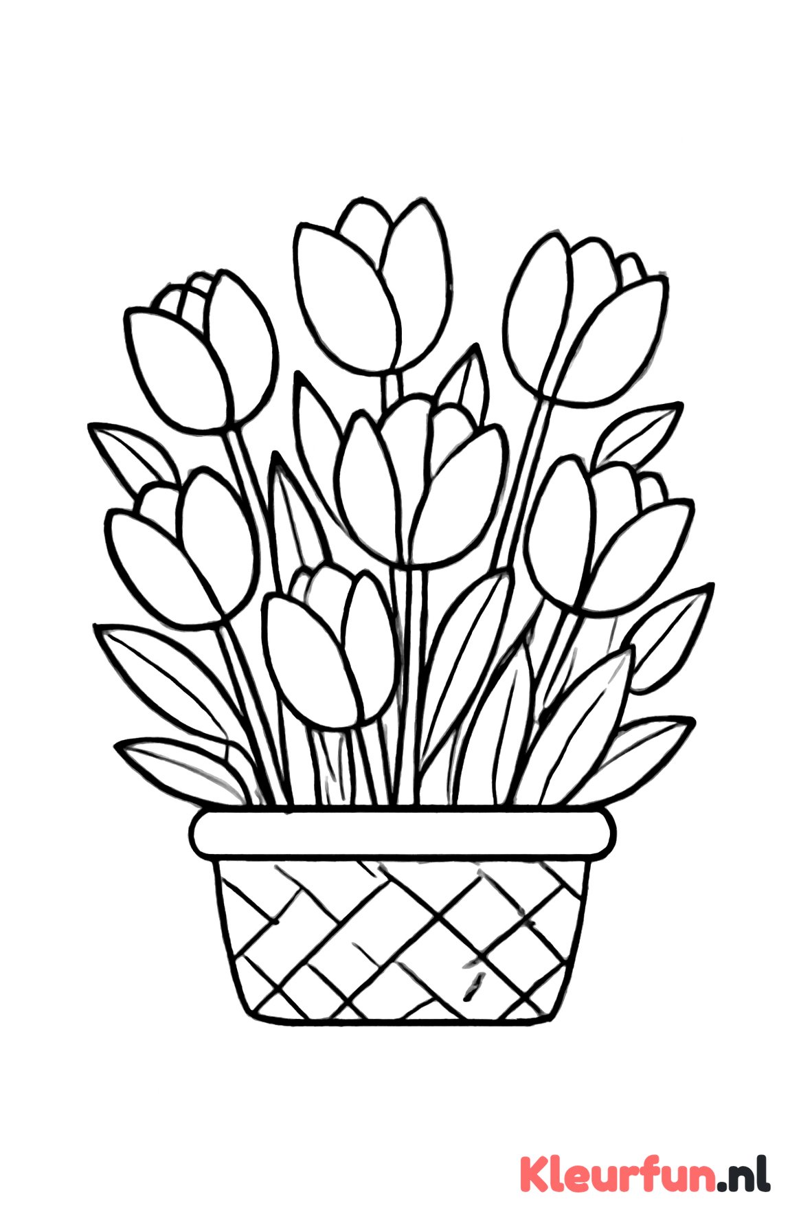 Mand vol tulpen
