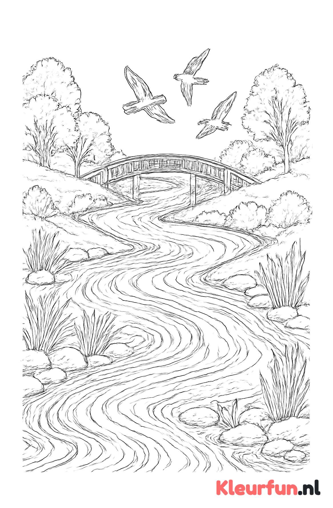 Meanderende rivier met brug