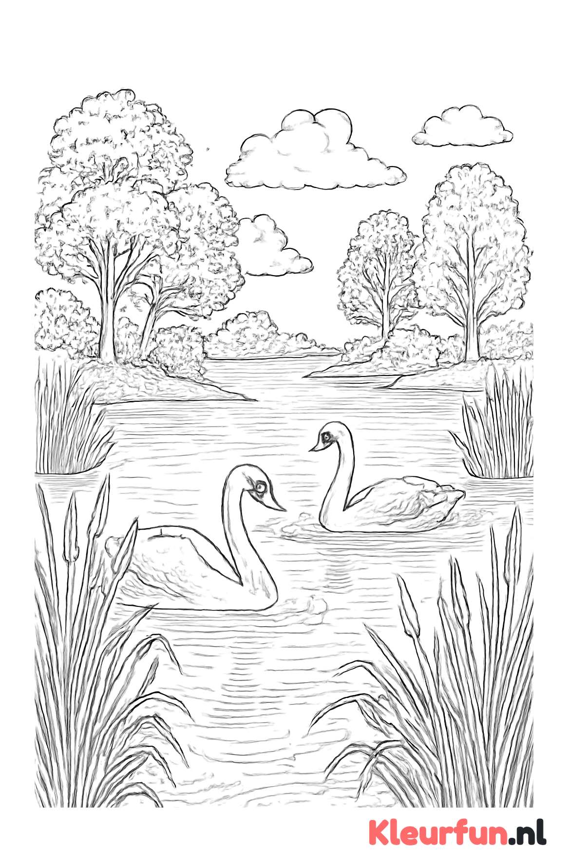 Meer met zwanen en riet